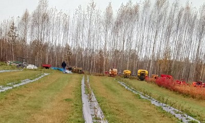 Выбор профессии будущего – дело сложное..